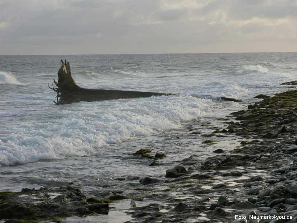 0011 Insel Bonaire 2009